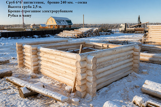 Сруб 6×6 пятистенок из бревна ручной рубки. Высота сруба - 2.5м, диаметр бревна в срубе  240 мм.